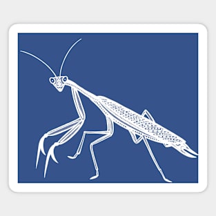 Praying Mantis - cute hand drawn insect design Magnet